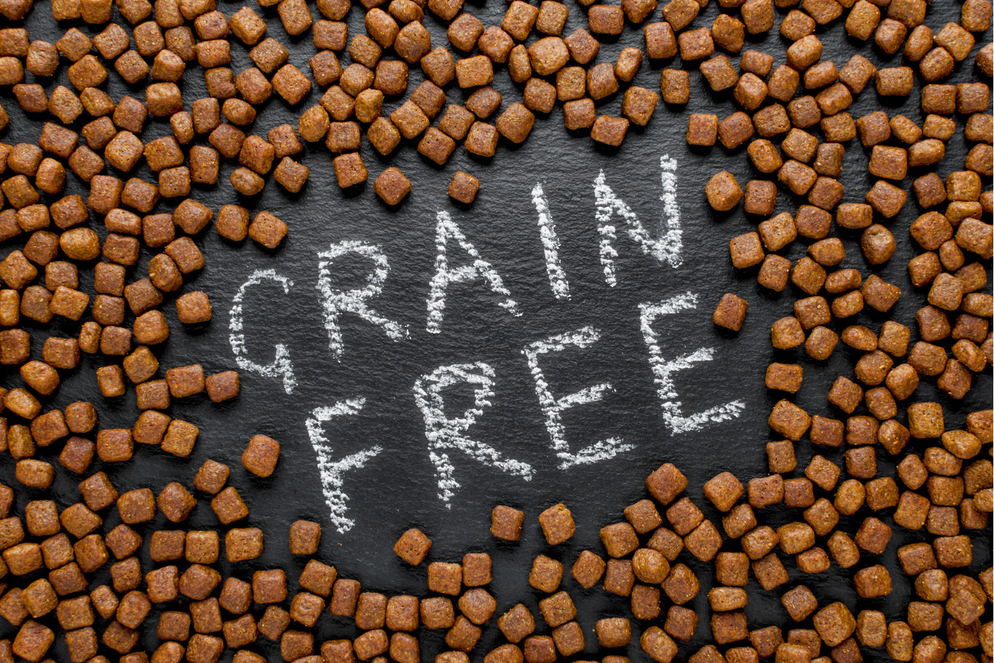A Pet Parent’s Guide to Grain-Free Pet Food