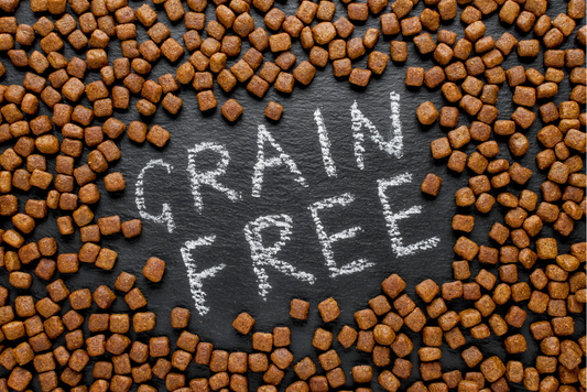 A Pet Parent’s Guide to Grain-Free Pet Food