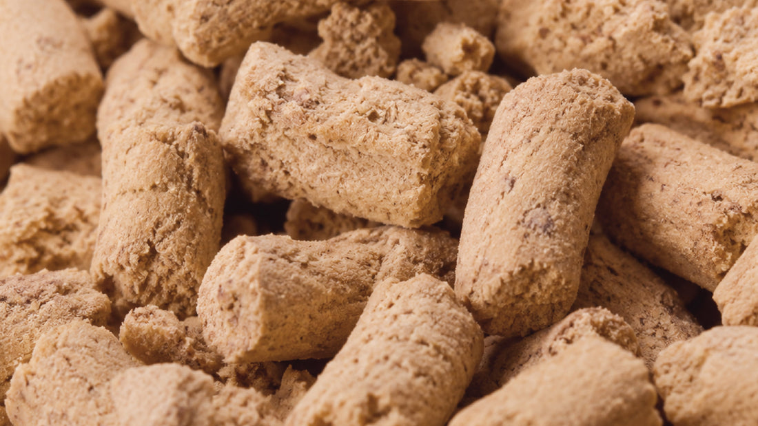 Freeze-Dried Dog Food in Singapore: Is It Really Better? The Honest Truth Every Dog Owner Should Know