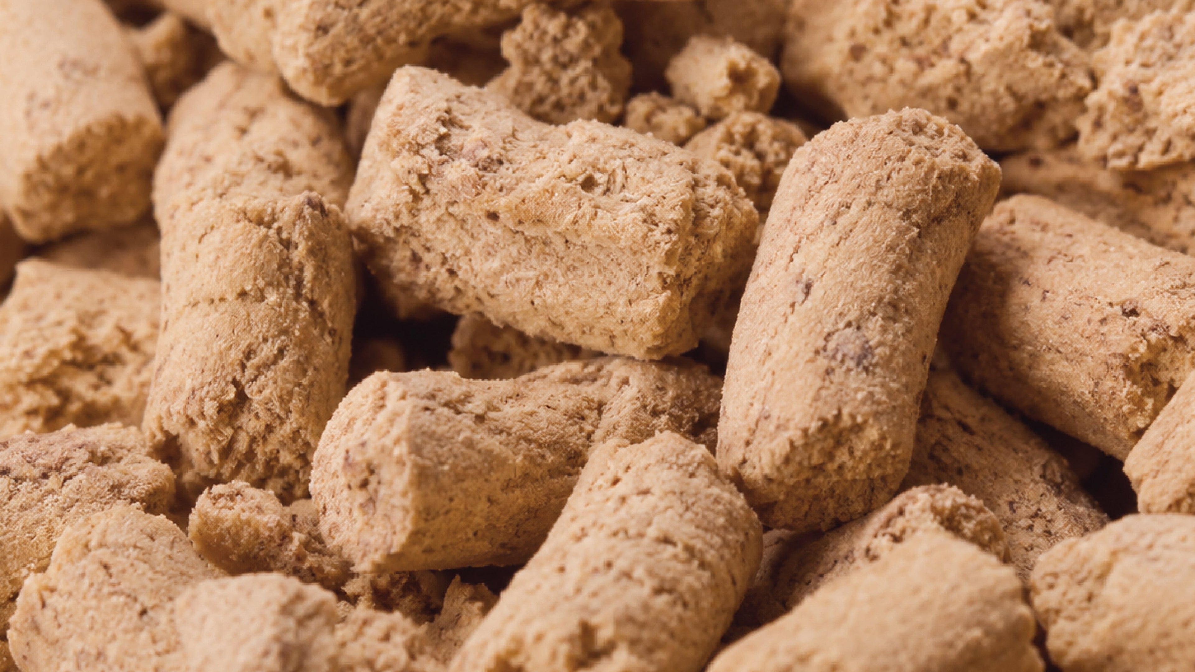 Freeze-Dried Dog Food in Singapore: Is It Really Better? The Honest Truth Every Dog Owner Should Know