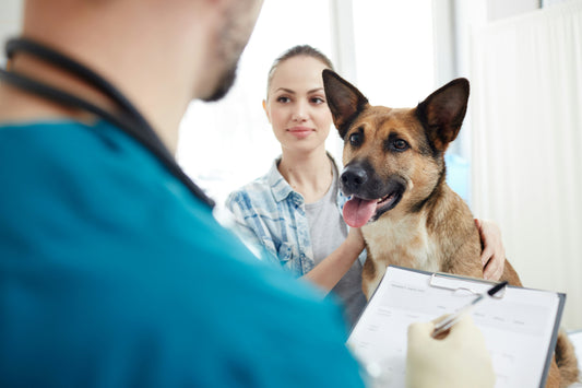 The Complete Health Checklist for Singapore Dogs & Cats