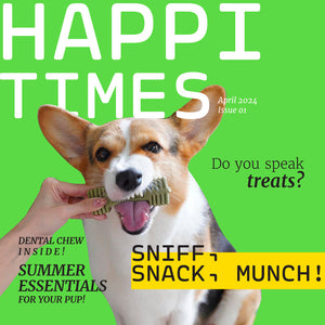 Happi Doggy Happi Skippi Dental Chew Best Dog Chew in Singapore