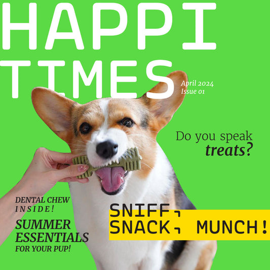 Happi Doggy Happi Skippi Dental Chew Best Dog Chew in Singapore