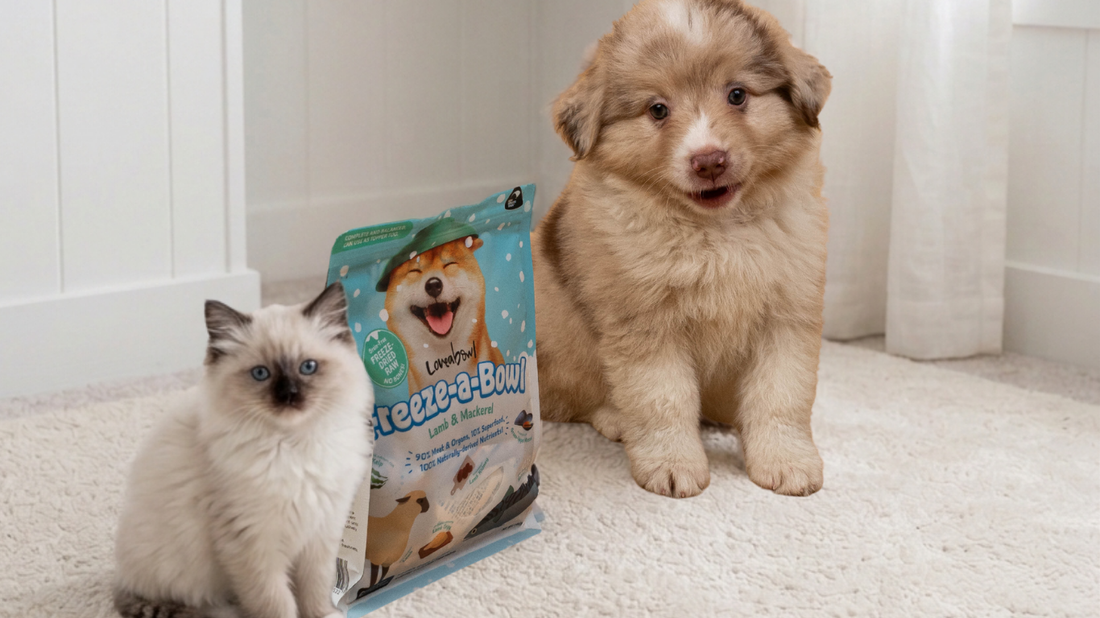 Freeze-Dried vs Air-Dried Pet Food: What Is The Difference?