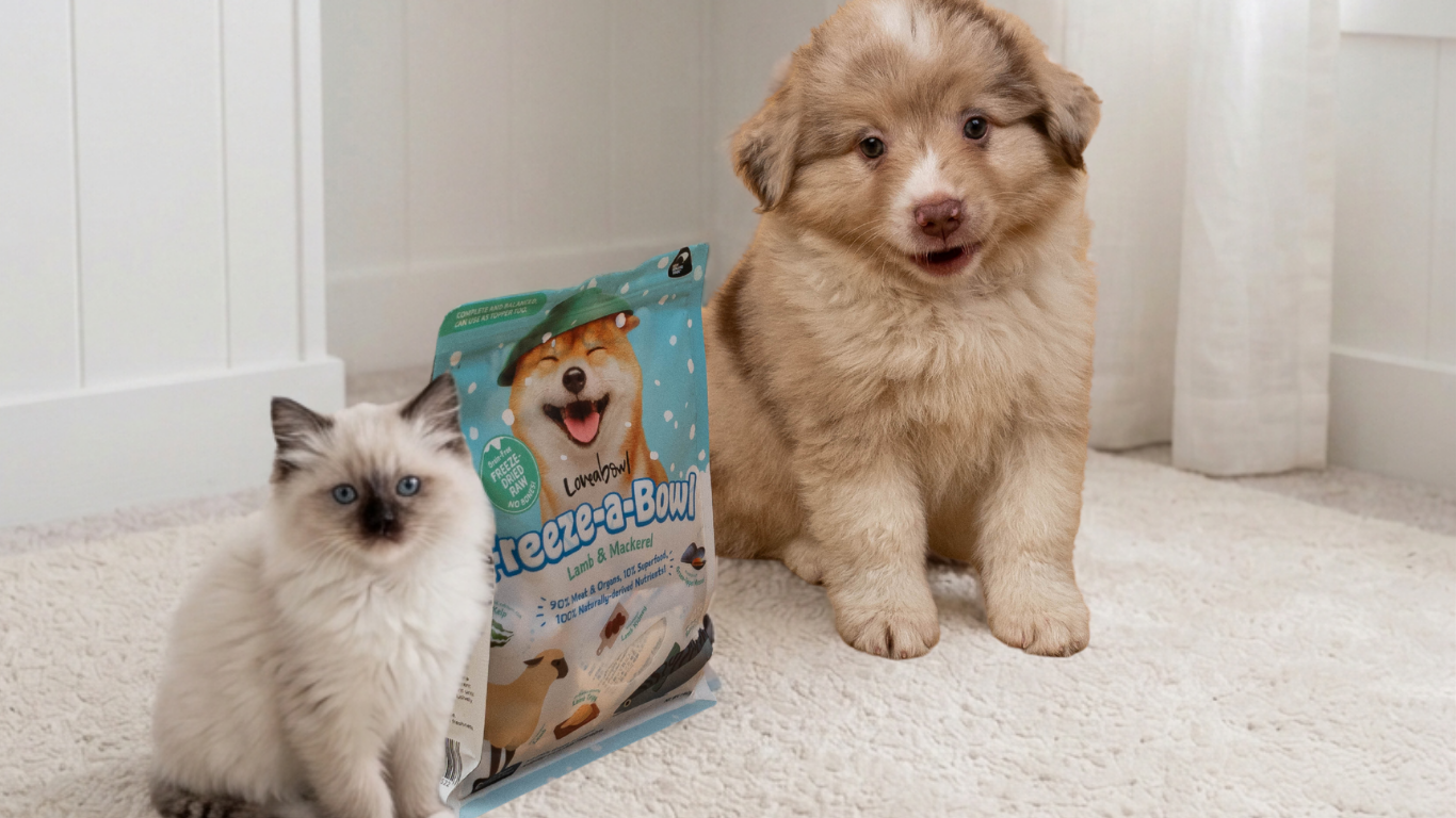 Freeze-Dried vs Air-Dried Pet Food: What Is The Difference?