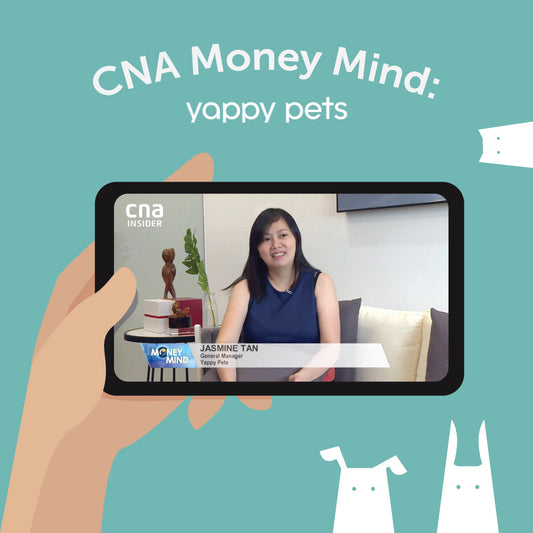CNA Money Mind: Yappy Pets