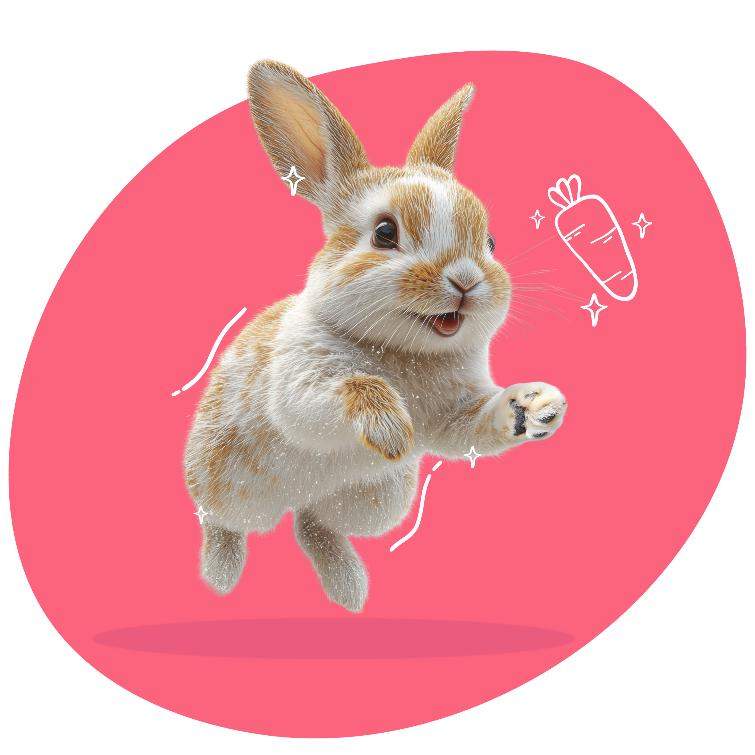 Small Pet