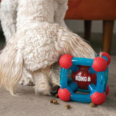 KONG Rewards Thinker