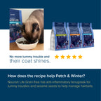 NurturePRO Nourish Life Slow Cooked Grain-Free Dry Cat Food