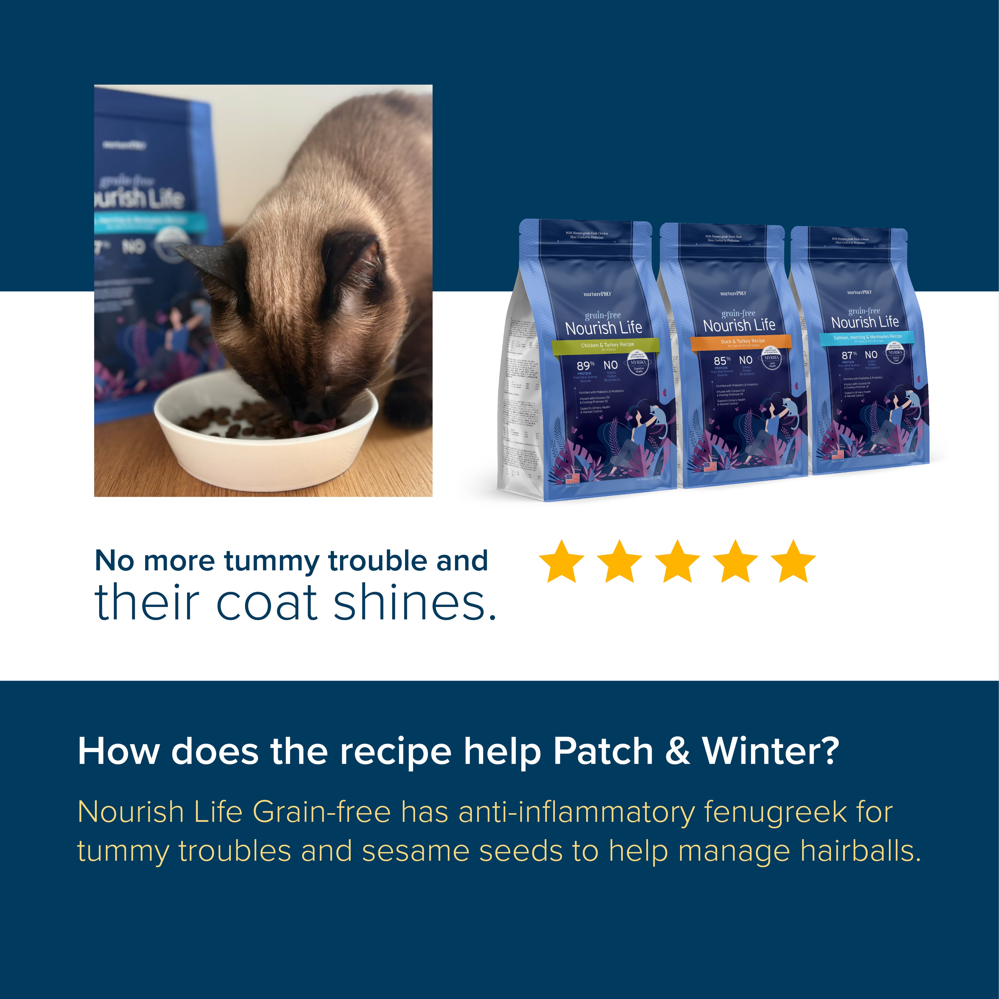 NurturePRO Nourish Life Slow Cooked Grain-Free Dry Cat Food