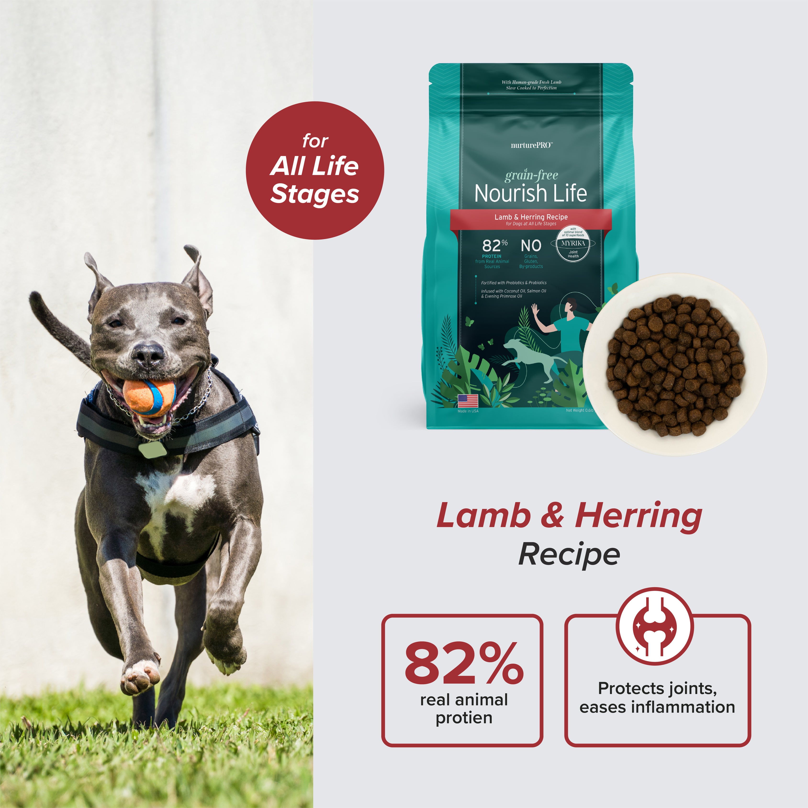 NurturePRO Nourish Life Slow Cooked Grain-Free Dry Dog Food