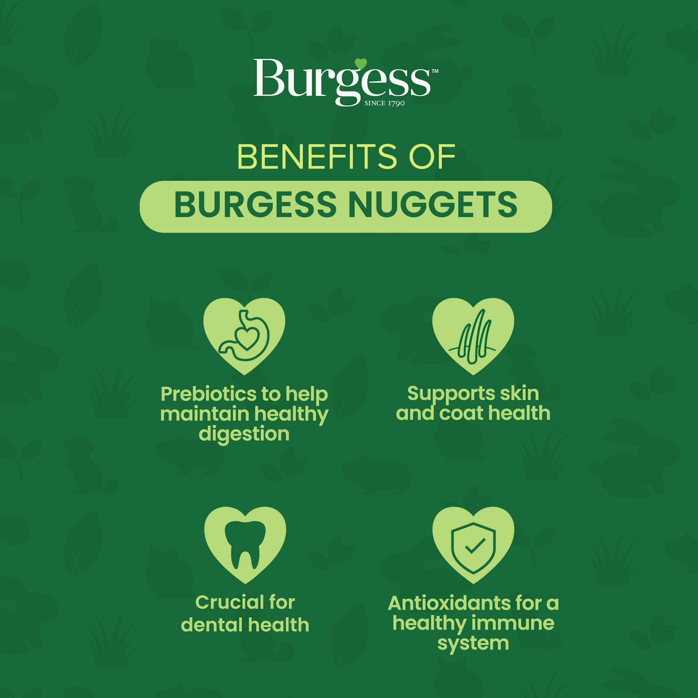 Burgess Excel Adult Rabbit Nuggets with Mint