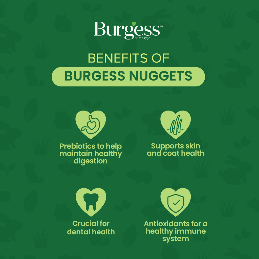 Burgess Excel Adult Rabbit Nuggets with Oregano