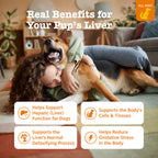 Zesty Paws Liver Support Bites for Dogs