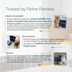 NurturePRO Nourish Life Slow Cooked Grain-Free Dry Cat Food
