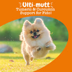 Zesty Paws Turmeric Curcumin Bites Dog Supplements 90ct