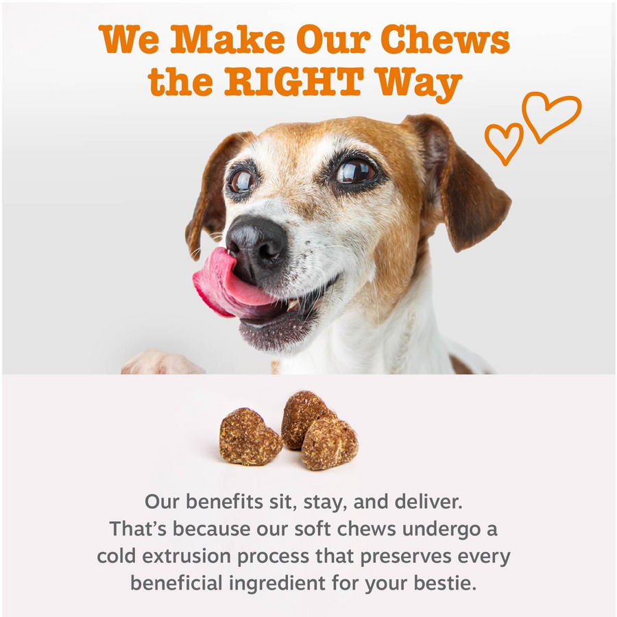 Zesty Paws Liver Support Bites for Dogs