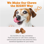 Zesty Paws Liver Support Bites for Dogs