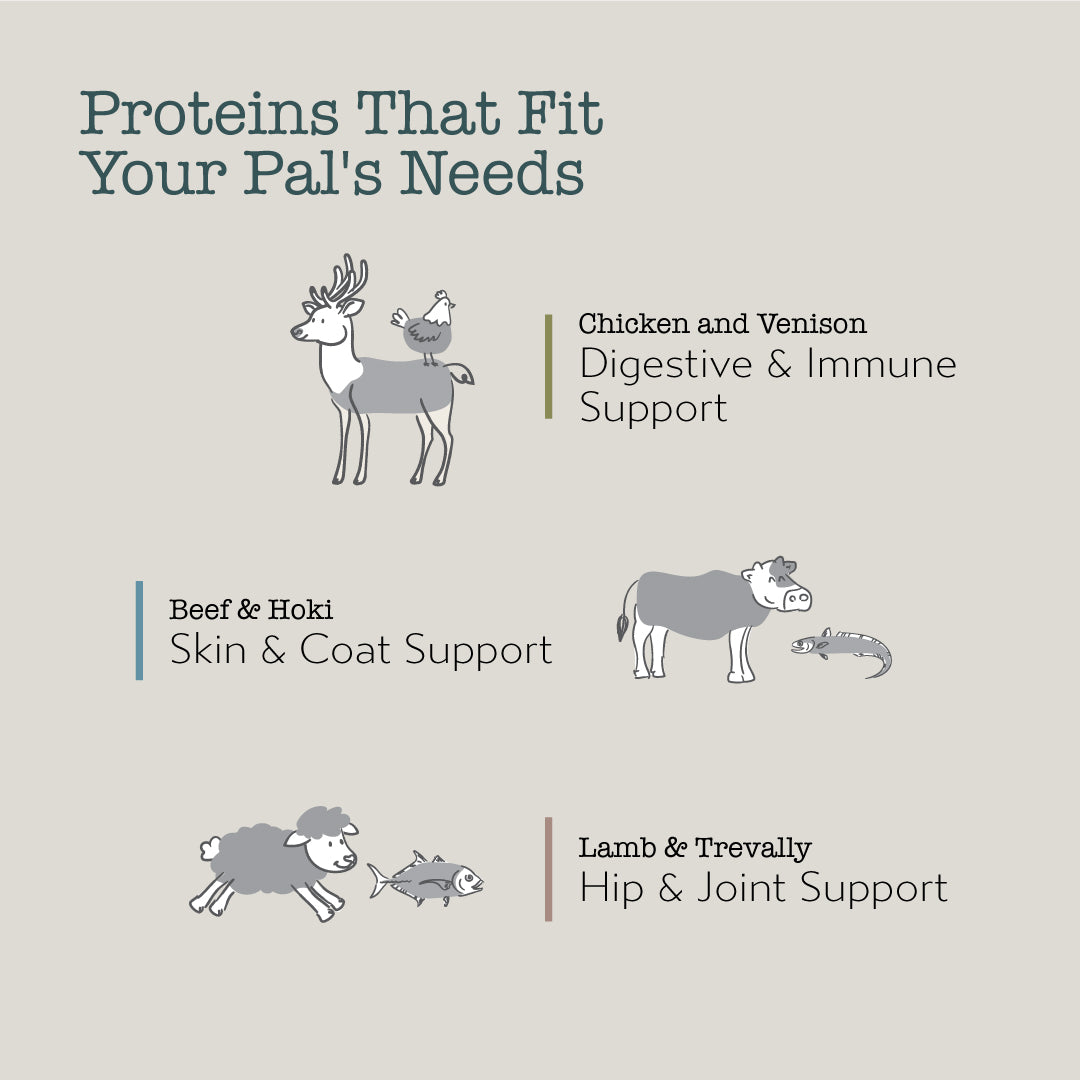 Boneve Freeze-Dried Raw Prey Dog Food