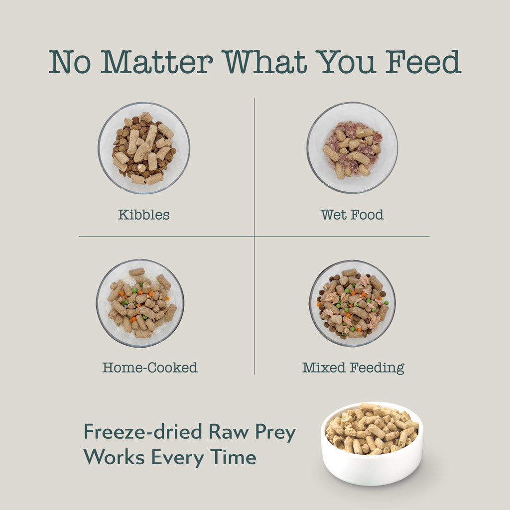 Boneve Freeze-Dried Raw Prey Cat Food (Trial Pack)