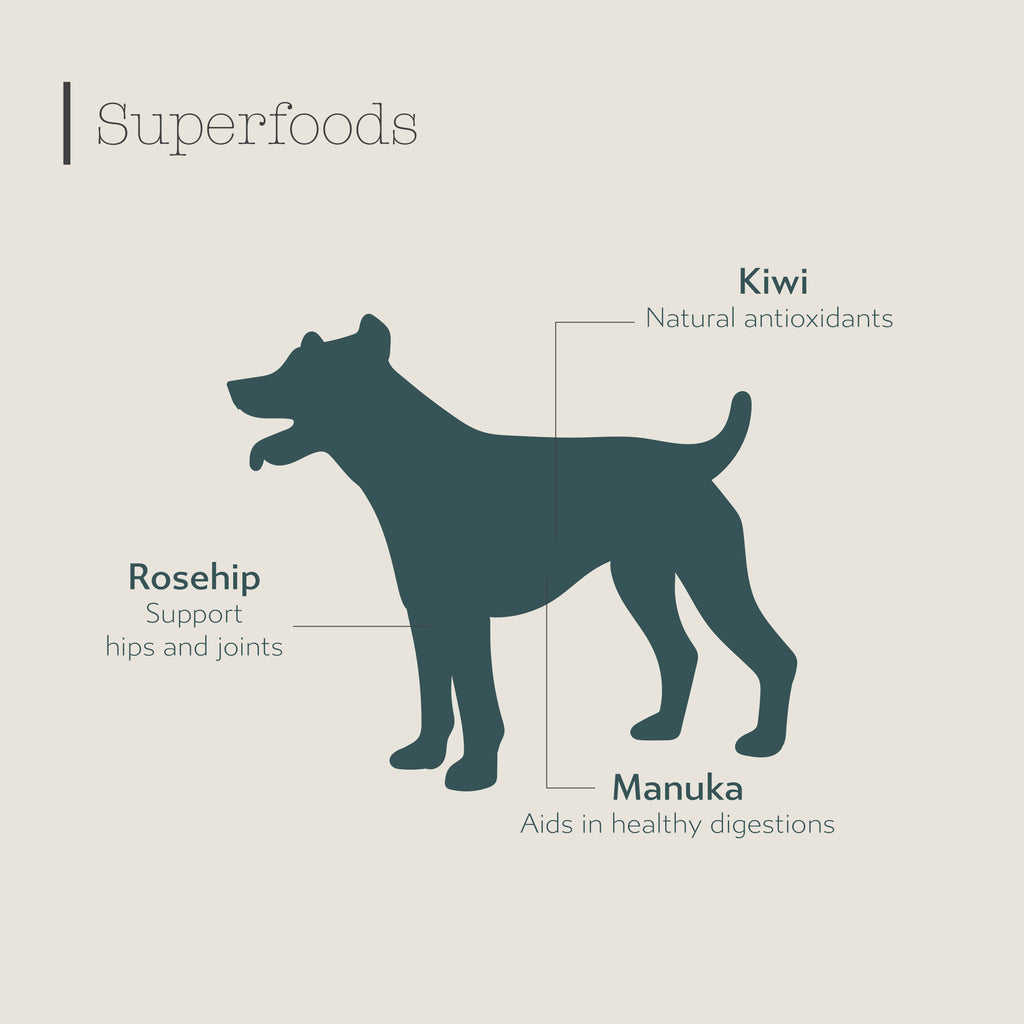 Boneve Grain Free Dry Dog Food