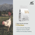 Boneve Grain Free Cat Dry Food