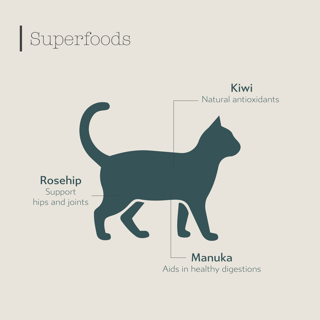 Boneve Grain Free Cat Dry Food