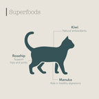 Boneve Grain Free Cat Dry Food