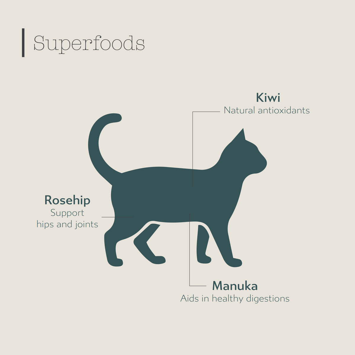 Boneve Grain Free Cat Dry Food
