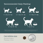 Boneve Grain Free Cat Dry Food
