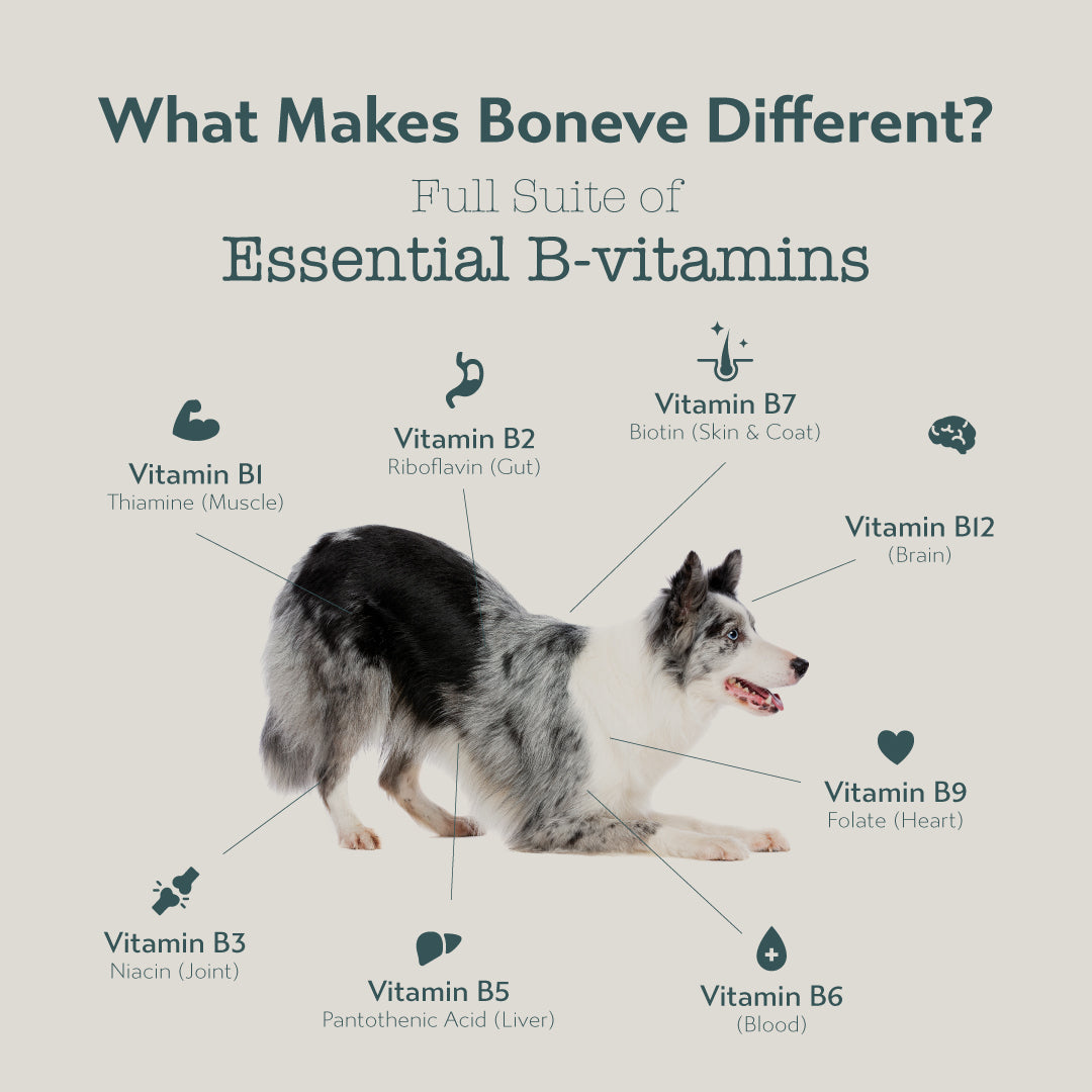 Boneve Freeze-Dried Raw Prey Dog Food