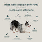 Boneve Freeze-Dried Raw Prey Dog Food