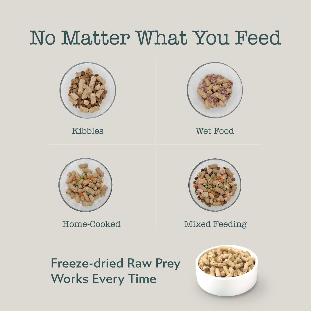 Boneve Freeze-Dried Raw Prey Dog Food