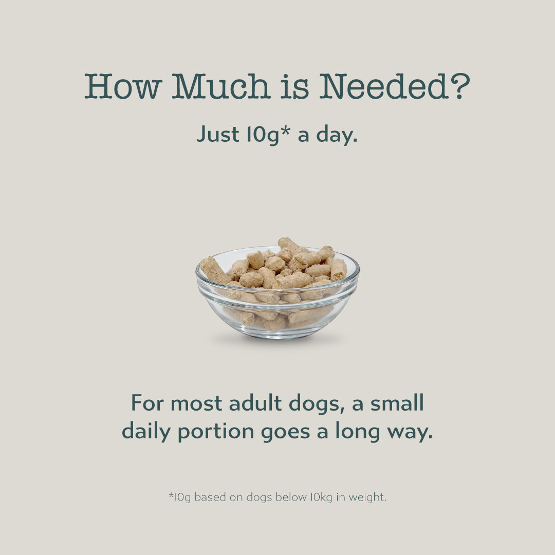 Boneve Freeze-Dried Raw Prey Dog Food