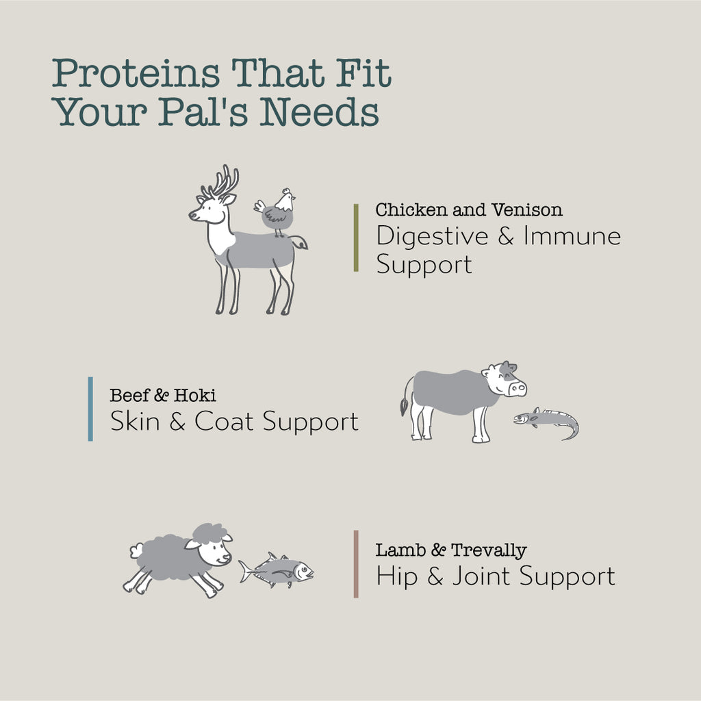 Boneve Freeze-Dried Raw Prey Dog Food