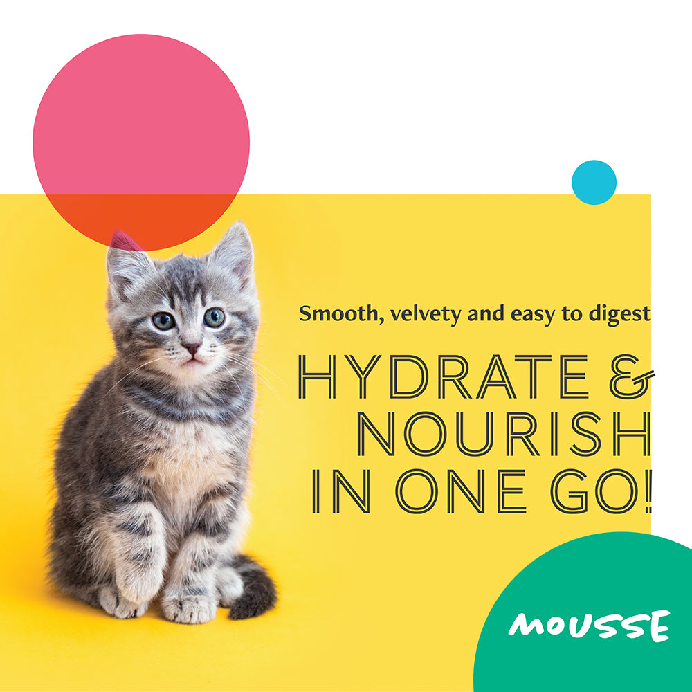 Daily Delight Mousse Cat Wet Food
