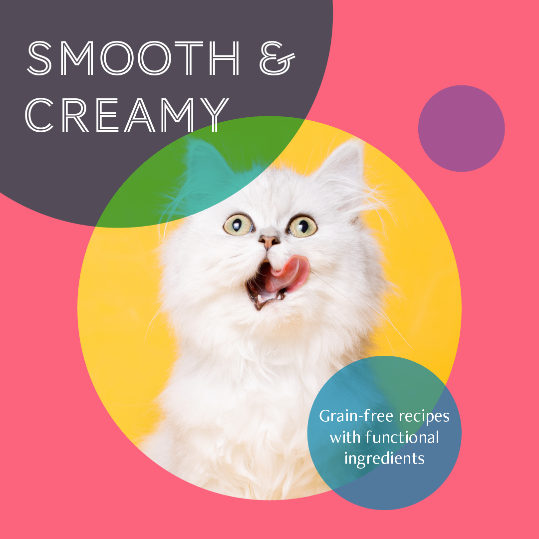 Daily Delight Mousse Cat Wet Food