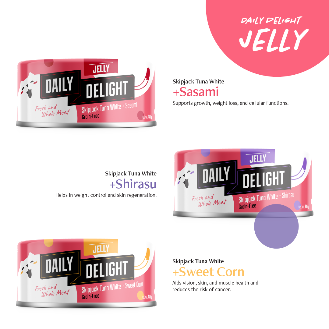 Daily Delight Jelly Skipjack Tuna White Cat Wet Food
