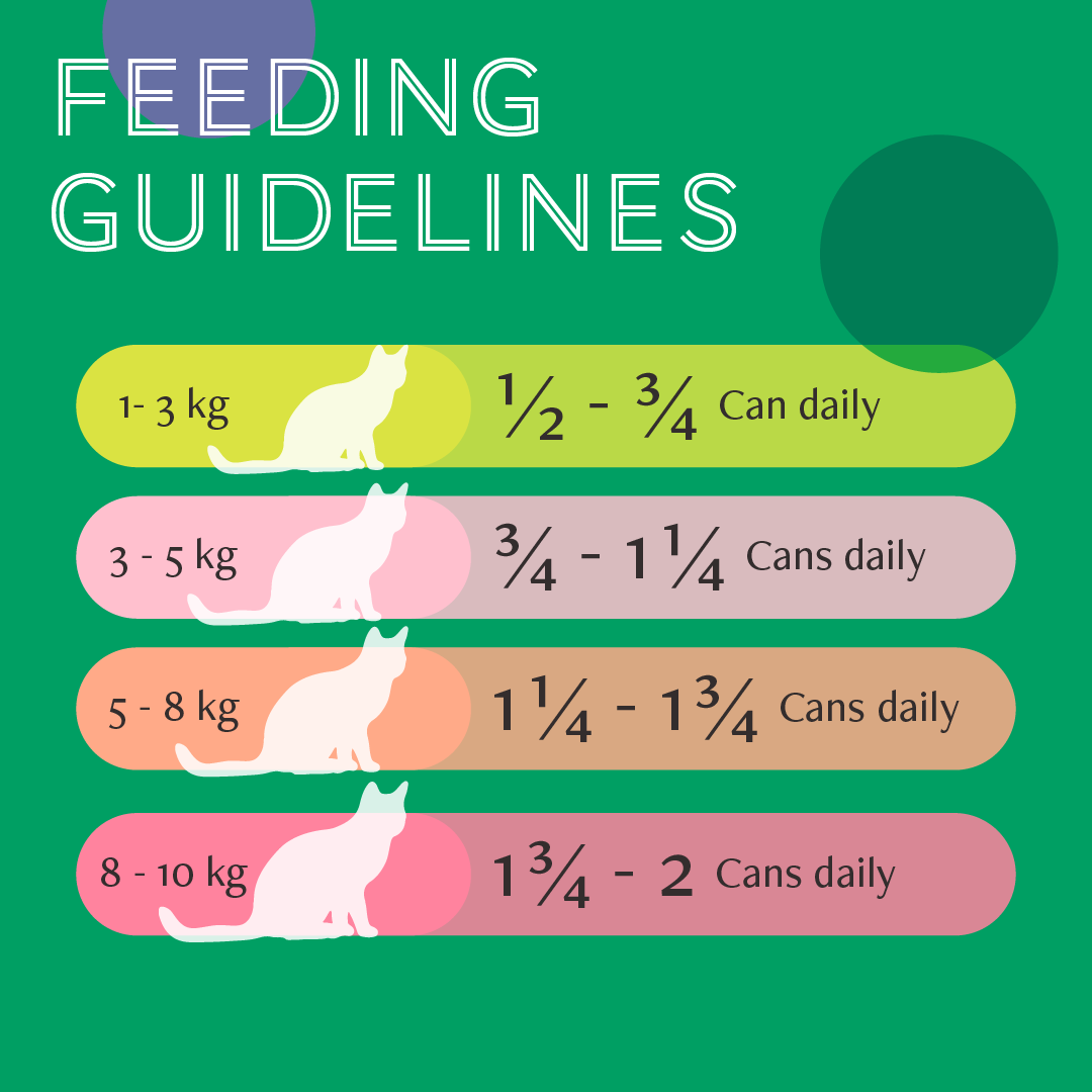 Daily Delight Jelly Skipjack Tuna White Cat Wet Food