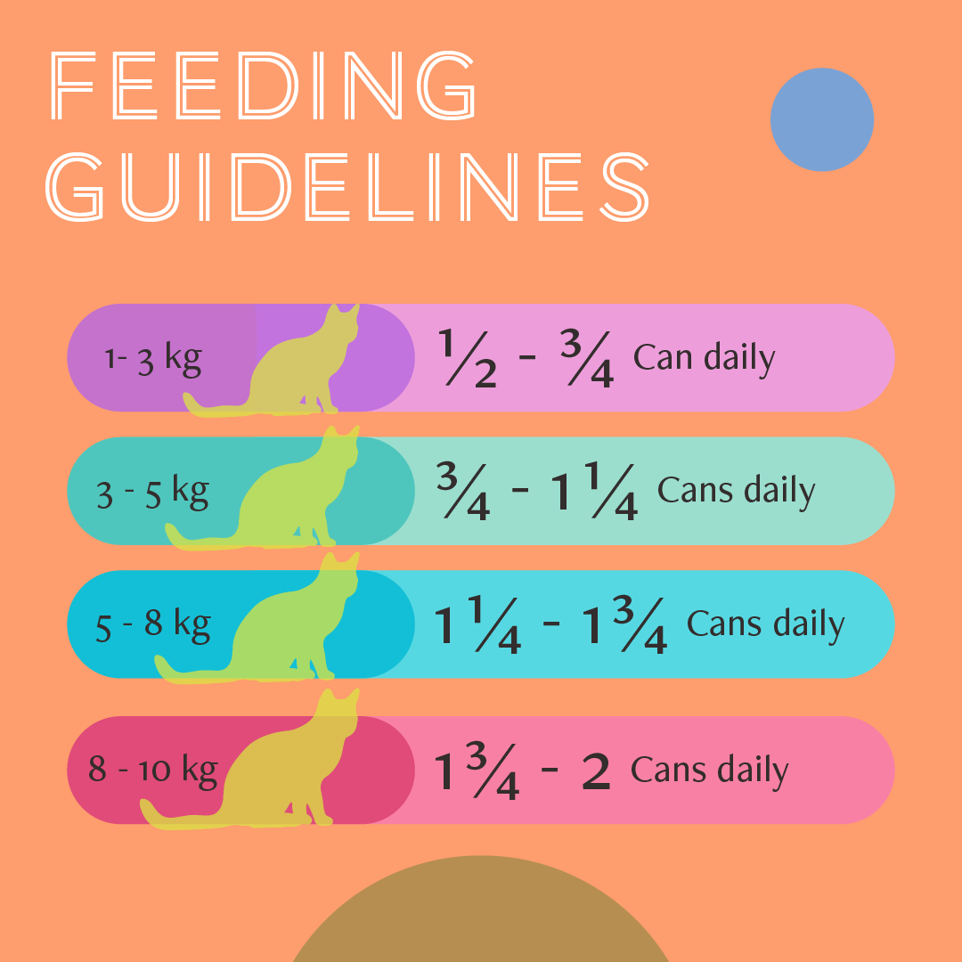 Daily Delight Mousse Cat Wet Food