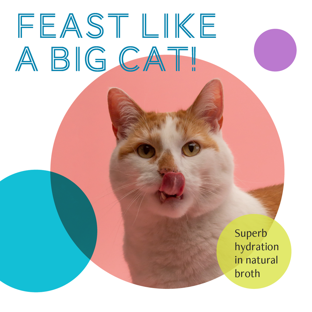 Daily Delight Pure Skipjack Tuna White & Chicken Cat Wet Food