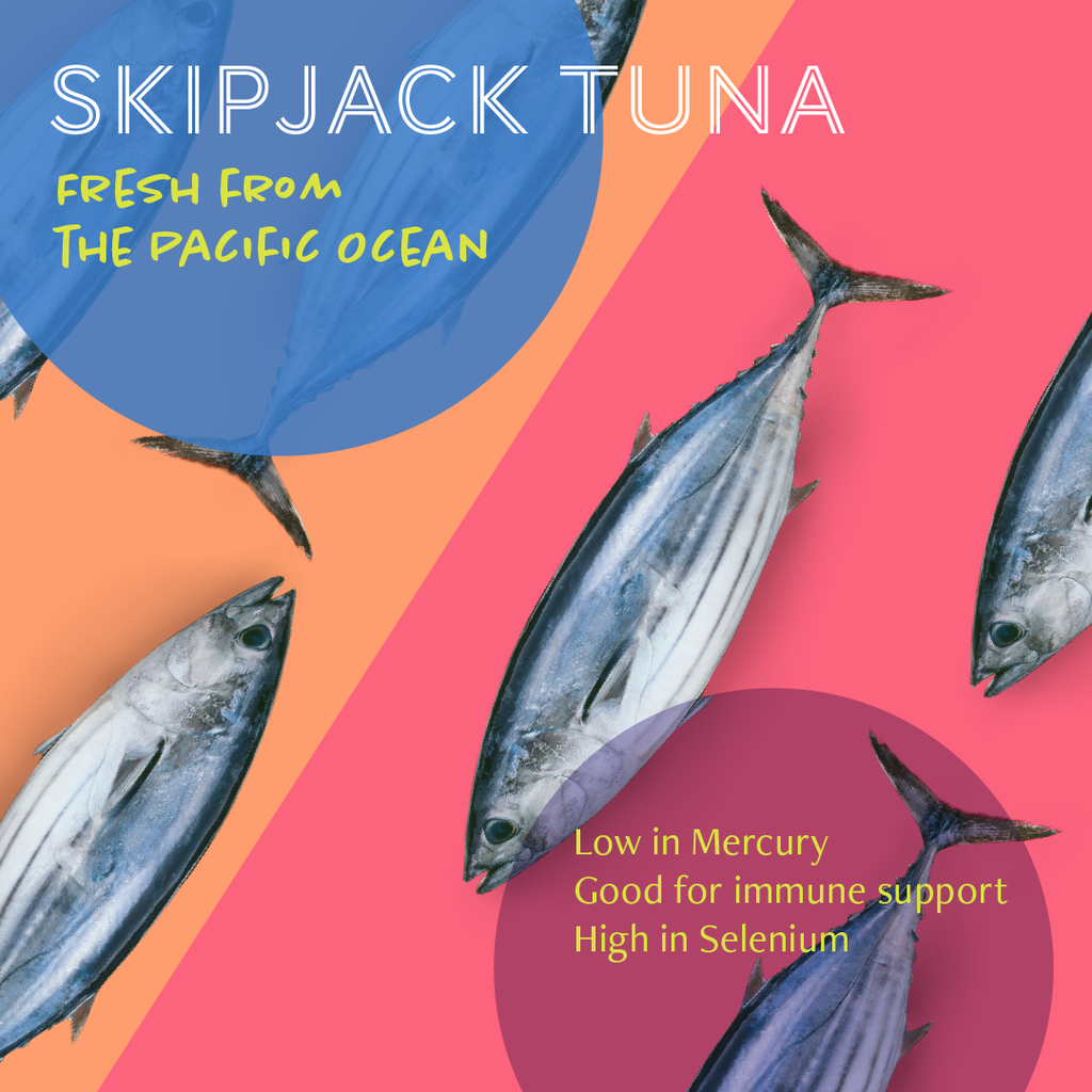 Daily Delight Jelly Skipjack Tuna White Cat Wet Food