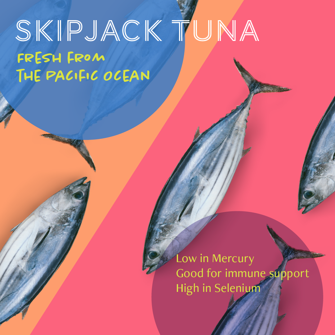 Daily Delight Jelly Skipjack Tuna White Cat Wet Food