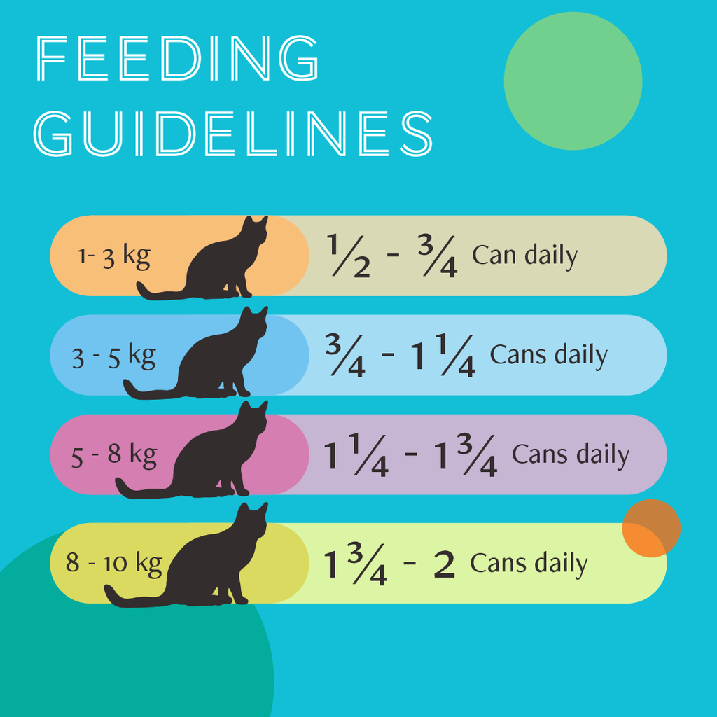 Daily Delight Pure Skipjack Tuna White & Chicken Cat Wet Food