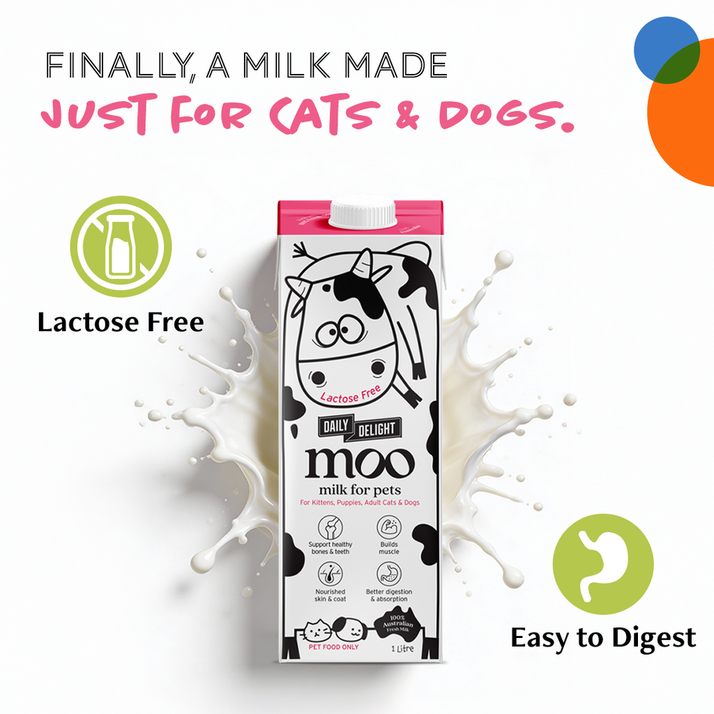 Daily Delight Moo Lactose-Free Pet Milk