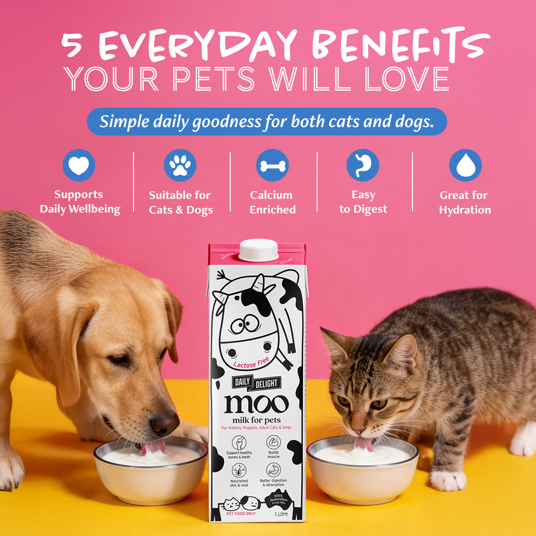 Daily Delight Moo Lactose-Free Pet Milk