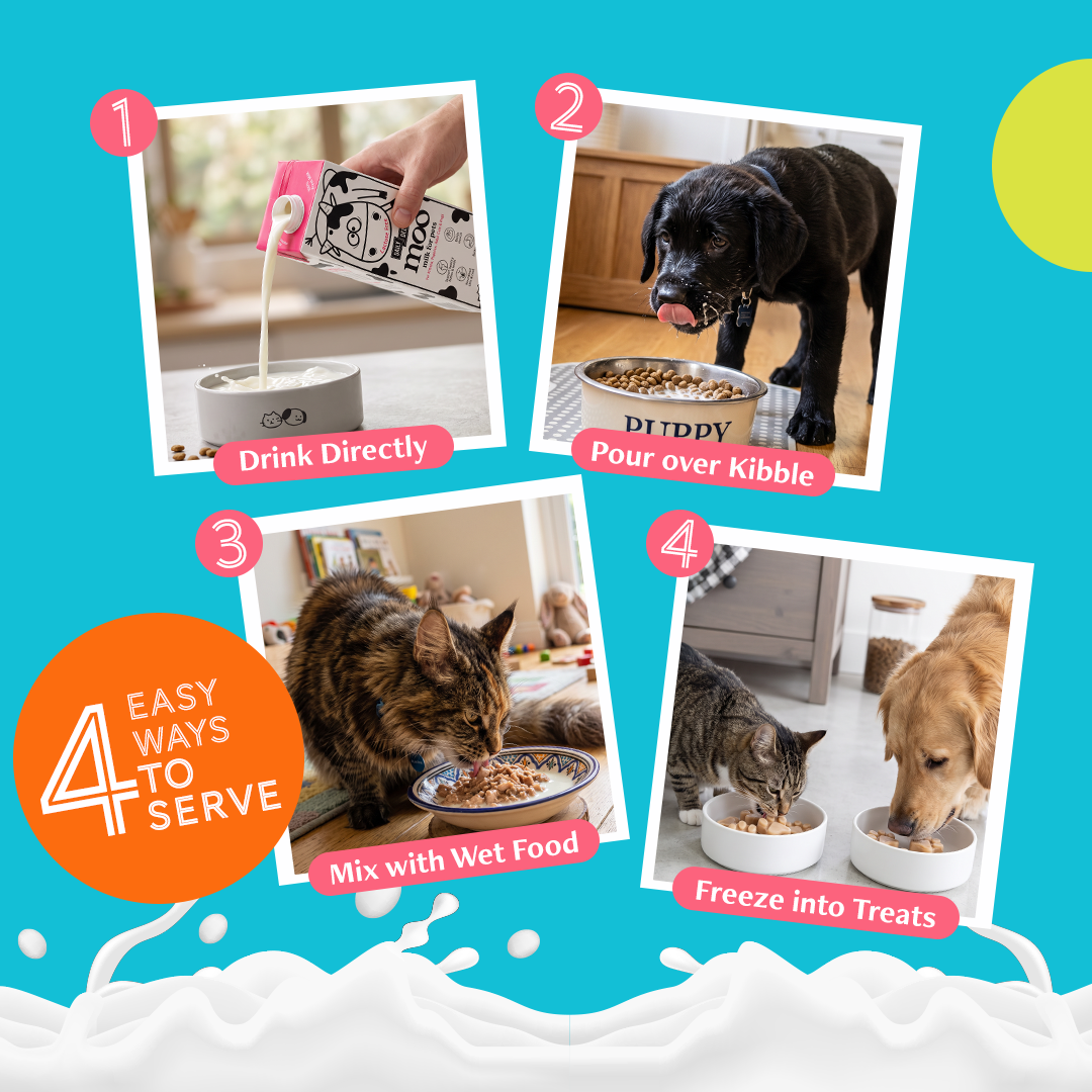 Daily Delight Moo Lactose-Free Pet Milk