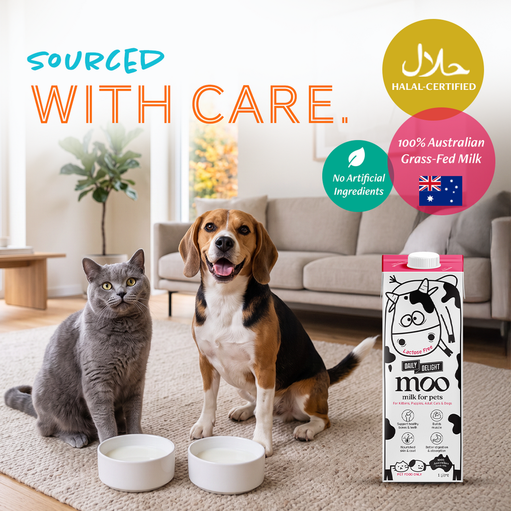 Daily Delight Moo Lactose-Free Pet Milk
