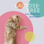 Daily Delight Moo Lactose-Free Pet Milk