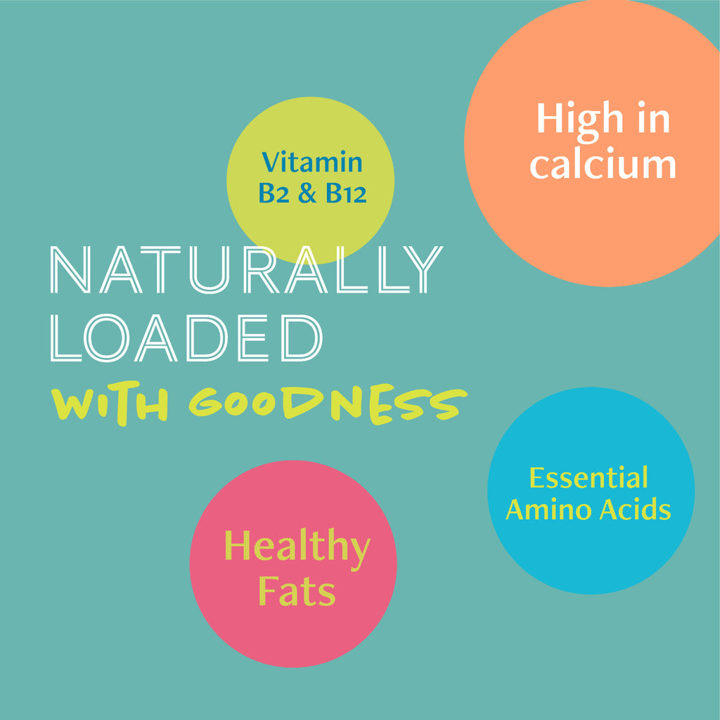 Daily Delight Moo Lactose-Free Pet Milk